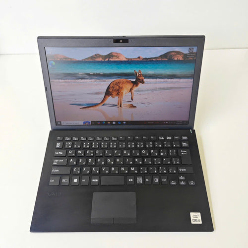 Sony vaio Corporation 13.3